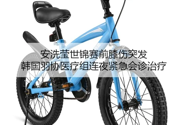 安洗莹世锦赛前膝伤突发 韩国羽协医疗组连夜紧急会诊治疗